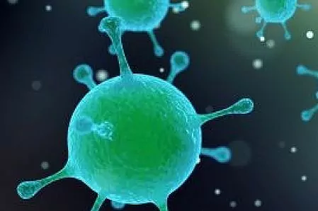 Tejidos anti bacterias